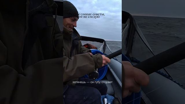 Почему сошëл сом?