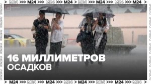За три дня в Москве выпало 16 мм осадков - Москва 24