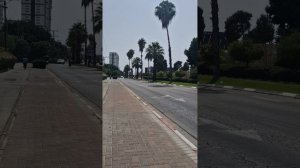 Прогулки.