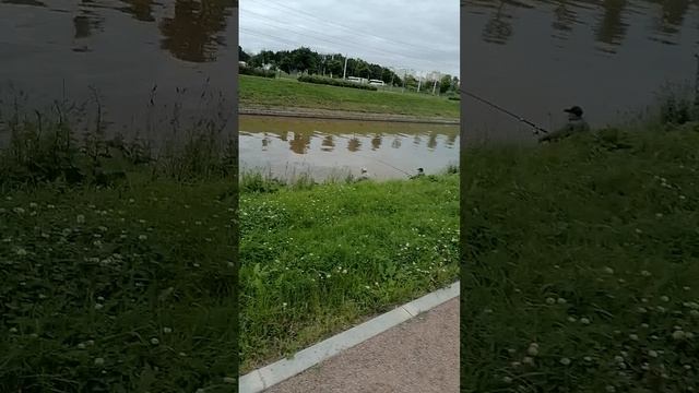 Рыбаки на речке