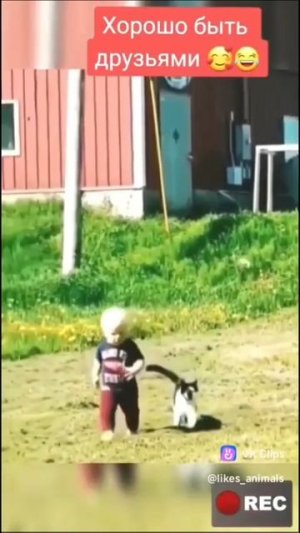 VID_20250701_163402_410.mp4