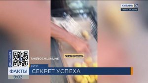 Продавщица фруктов стала живой легендой в Сочи