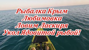 Укол ядовитой рыбой черного моря во время рыбалки на каяке в Крыму!