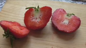 Ягоды клубники сортов ЮЛЯ и ЛОРД в разрезе
