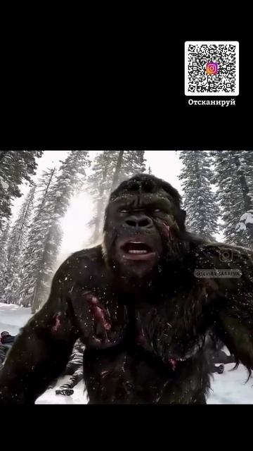 Дружба