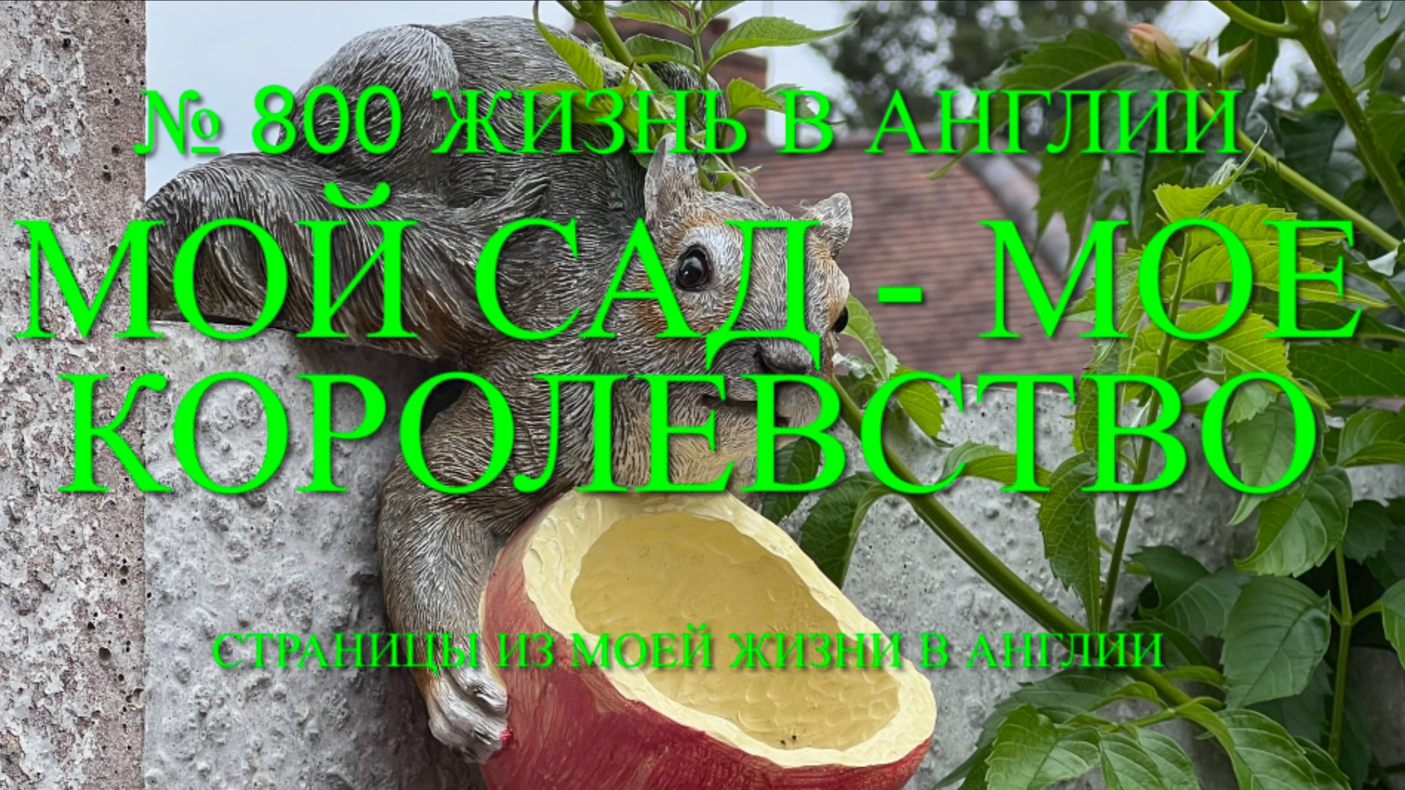 Мое королевство- мой Английский сад. № 800 ЖИЗНЬ В АНГЛИИ