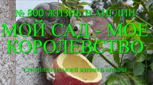 Мое королевство- мой Английский сад. № 800 ЖИЗНЬ В АНГЛИИ