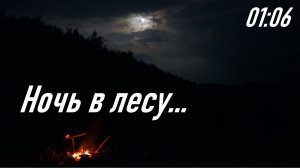 Шум ночи за с. Игнатьевка Пожарского района Приморского края, лето 2025 г