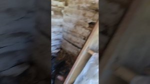 идём в заброшку