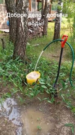 Абиссинская скважина с хорошим дебитом!