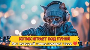 Котик играет музыку - сделал первое видео с ИИ