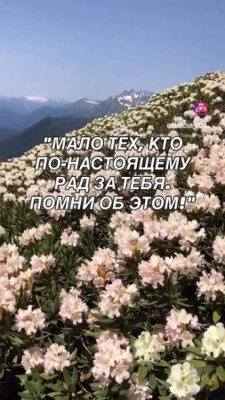 Мудрые советы
