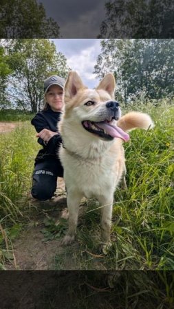 Четвероногие друзья 🐕