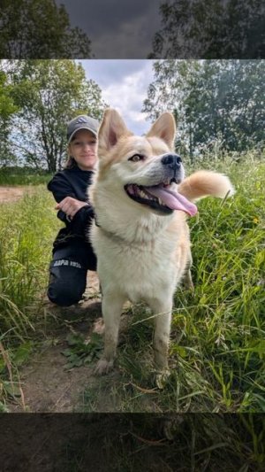 Четвероногие друзья 🐕