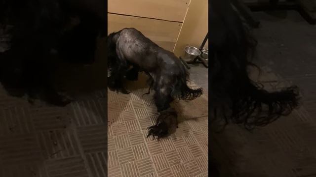 1000080700.mp4