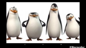 Мадагаскарские пингвины