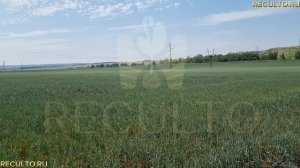 Компания РЕКУЛЬТО.РУ 
Сопровождение демонтажа трубопровода