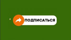 Футаж 2 Подписка для Рутуб, Платформа, Одноклассников и в контакте
