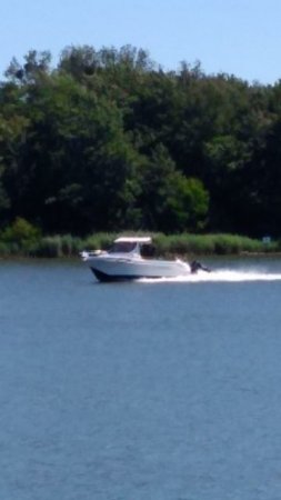 BOAT IN THE BAY