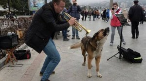 Трубач играл, а Мухтар ему подпевал. Сейчас Мухтара нет. Это Набережная Ялты - грустно