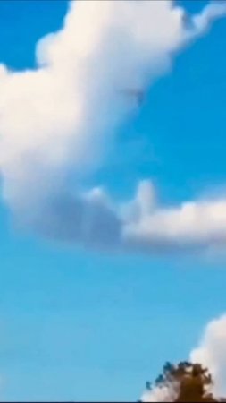 1000012437.mp4