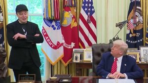 В США новый виток противостояния бывших соратников Дональда Трампа и Илона Маска
