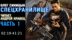 1.1. Аудиокнига. Спецхранилище. Видео 1, часть 1.