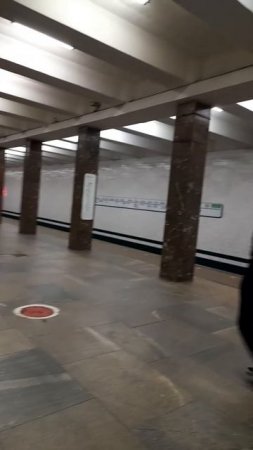 1000045576.mp4Московское метро.01.07.2025г.
