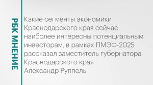 Наиболее интересные для инвесторов сегменты экономики Краснодарского края || РБК Мнение