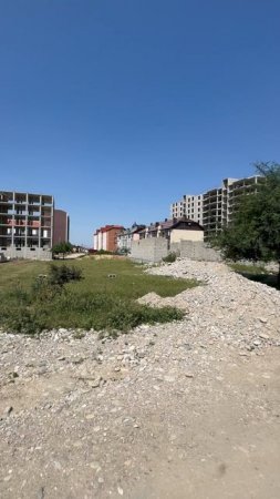 IMG_3455