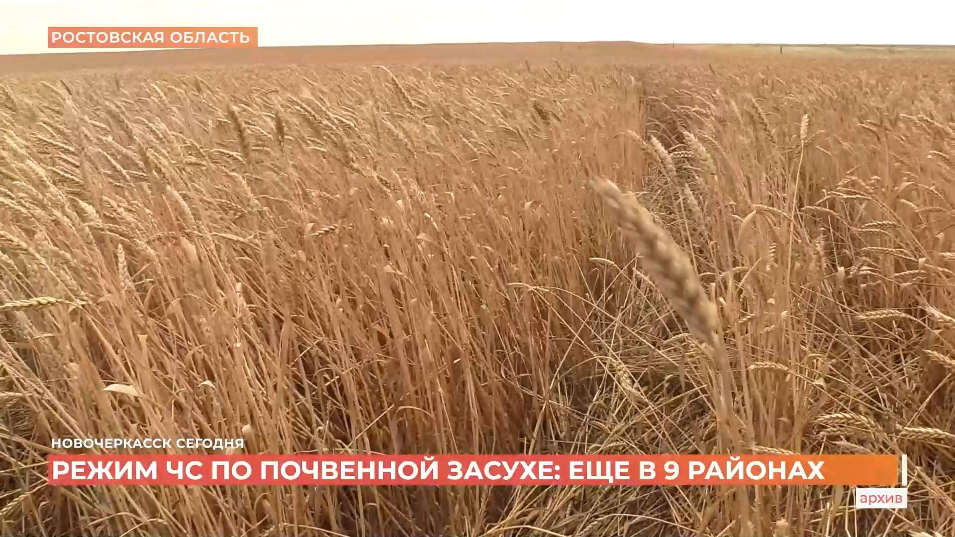 Новочеркасск сегодня. Выпуск за 01 июля 2025