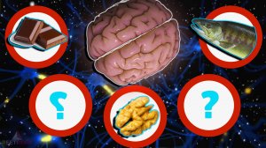 Топ-5 продуктов для мозга: Ешь это, чтобы улучшить память и концентрацию!