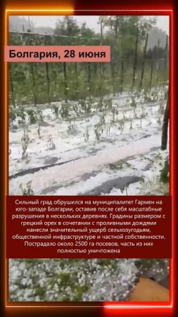 29.06.2025 Что произошло в мире