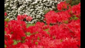 Любите всех служите всем