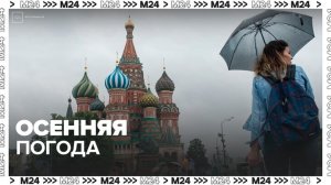 В Москве установилась ветренная осенняя погода - Москва 24