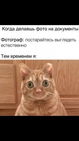 Мем про фото 🤣