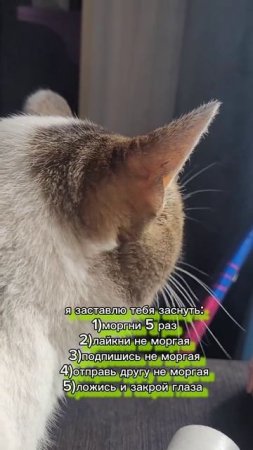 Прикол
