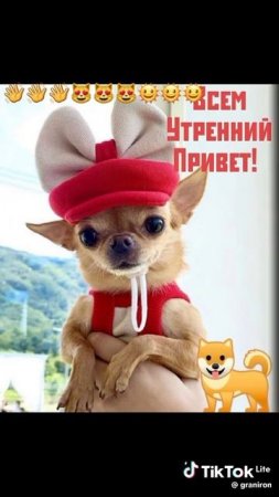 Доброе утро