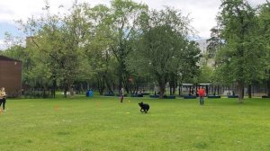 29.06.2025  "В Стиле Диска" - нарезка выступлений класса Прогресс