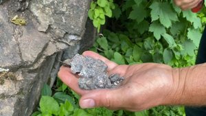 Как отбирать образцы?