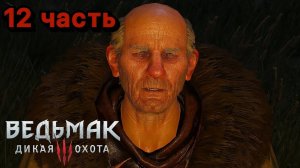 Ворожей ➤ The Witcher 3_ Wild Hunt #12