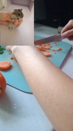 ТЕРМИ и его копия