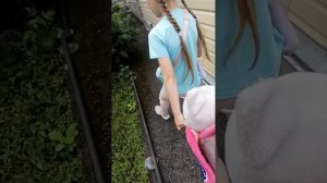 ЛЕТНИЙ СЕЗОН 🌳🌳🌳🌳Мурка и Мася ♥️♥️♥️. Ставьте лайки и подписывайтесь ☘️☘️☘️