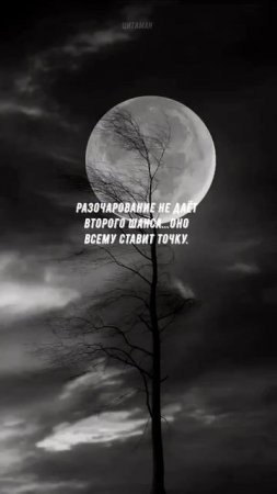 #887 Цитата дня. Мотивация.