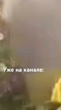 Бобр обожрался грибов | 5 ночей с Бобром v 2.0#пжактив #бобркурва #Vitya_17k https://t.me/V17k_TGK