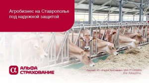 АГРОБИЗНЕС НА СТАВРОПОЛЬЕ ПОД НАДЕЖНОЙ ЗАЩИТОЙ