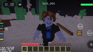 Типичная прогулка в Blockcraft (Roblox)