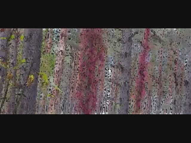 Бандиты рвутся в президенты. Песня о событиях на Украине.