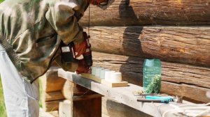 ВДАЛИ ОТ ШУМА И ГОРОДСКОЙ СУЕТЫ СТРОИМ УСАДЬБУ СВОЕЙ МЕЧТЫ | НАШЕСТВИЕ ЗМЕЙ В ЖАРУ | ЕДЕМ НА ВОДОПАД