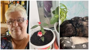 01.07.25 - Мои смешные кошки // Приготовила и цветы пересадила // Посиделки